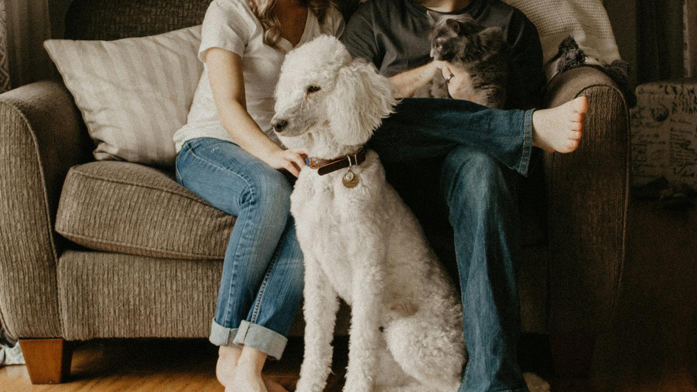 Navigating the Real Estate Landscape: Live Market Update and Homeownership Guide